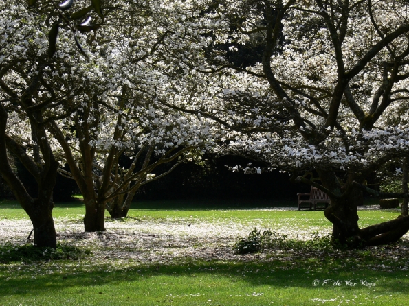 Bois des Moutiers (41) avril 2012
